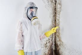 Forensic Mold Investigation in Fairfax, CA